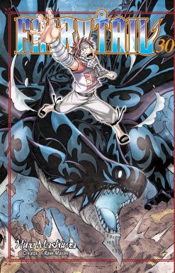 FAIRY TAIL 30