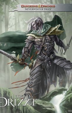 Dungeons & Dragons: The Legend of Drizzt - Neverwinter Tales