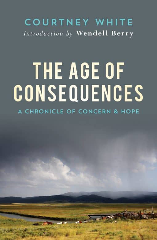 A Chronicle of Concern and Hope: The Age of Consequences