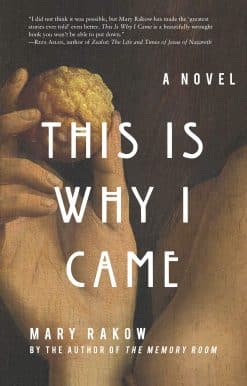 This Is Why I Came: A Novel