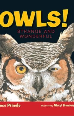 Owls!: Strange and Wonderful