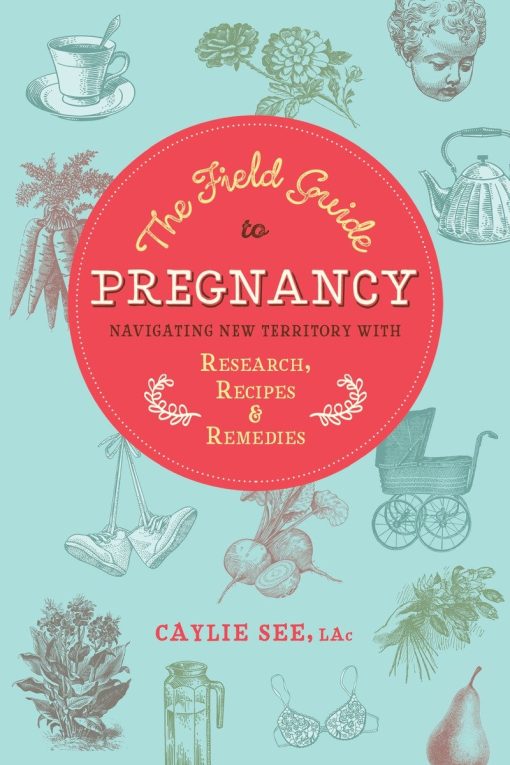 Navigating New Territory with Research, Recipes, and Remedies: The Field Guide to Pregnancy