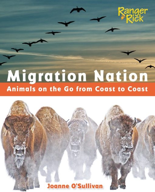 Animals on the Go from Coast to Coast: Migration Nation (National Wildlife Federation)