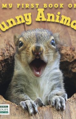 My First Book of Funny Animals (National Wildlife Federation)