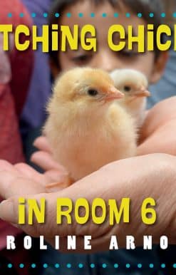 Hatching Chicks in Room 6