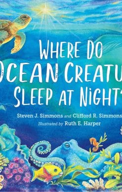 Where Do Ocean Creatures Sleep at Night?