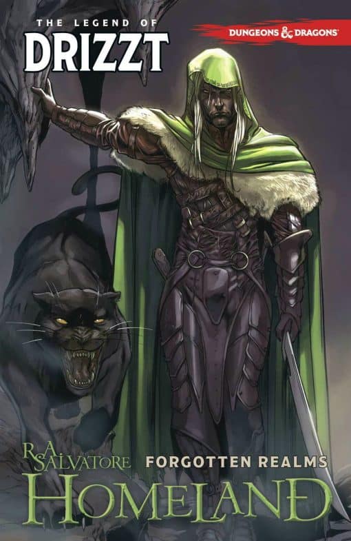 Dungeons & Dragons: The Legend of Drizzt Volume 1 - Homeland