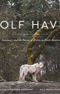 Wolf Haven: Sanctuary and the Future of Wolves in North America