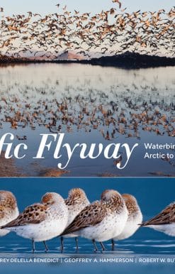 Waterbird Migration from the Arctic to Tierra del Fuego: Pacific Flyway