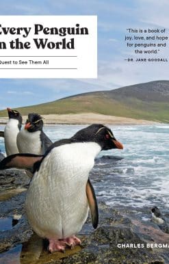 A Quest to See Them All: Every Penguin in the World