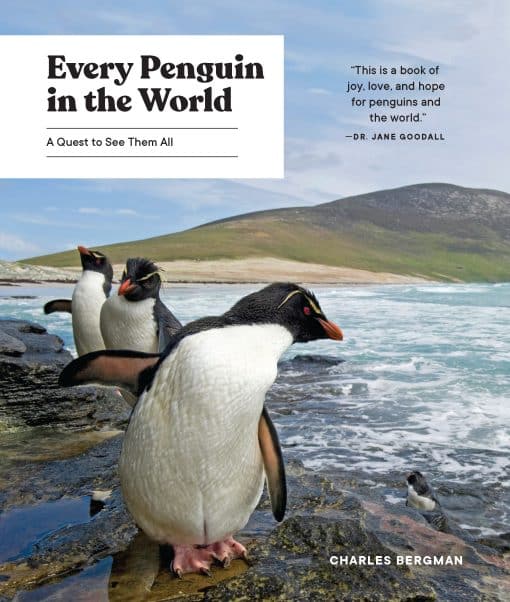 A Quest to See Them All: Every Penguin in the World