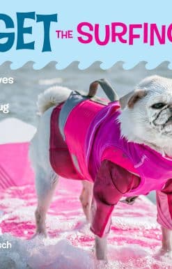 Catching Waves with a Small but Mighty Pug: Gidget the Surfing Dog
