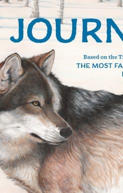 Journey: Based on the True Story of OR7, the Most Famous Wolf in the West