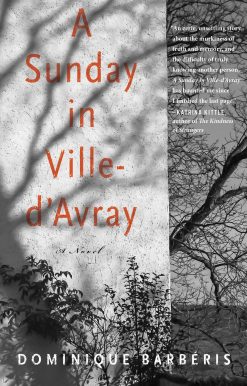 A Novel: A Sunday in Ville-d'Avray