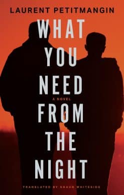 What You Need from the Night: A Novel