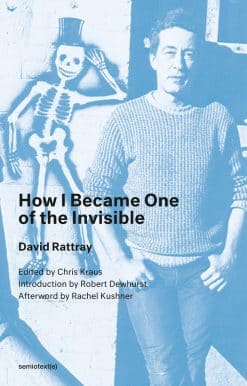 How I Became One of the Invisible, new edition