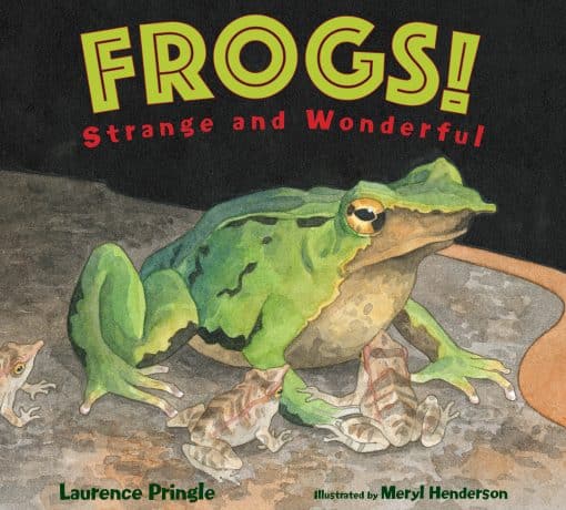 Frogs!: Strange and Wonderful