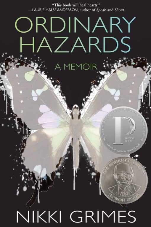 A Memoir: Ordinary Hazards