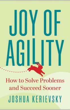 Joy of Agility: How to Solve Problems and Succeed Sooner