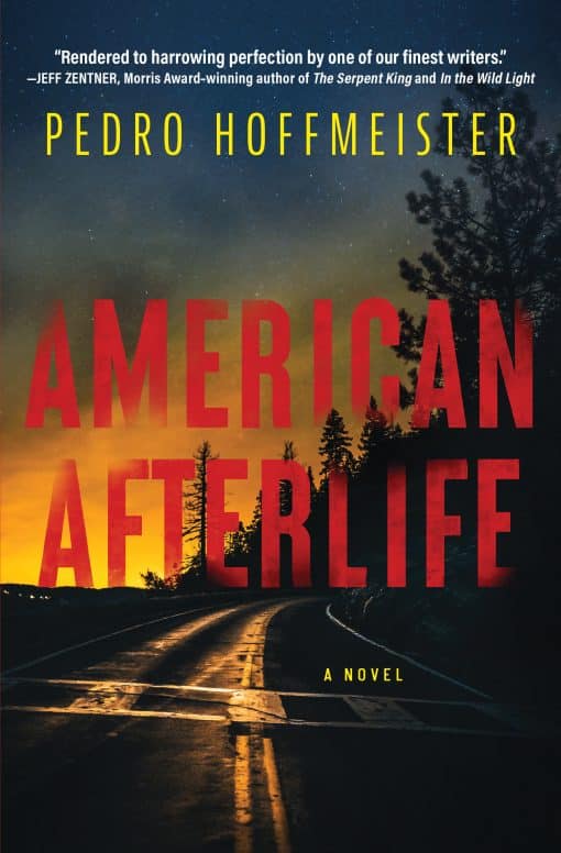 A Novel: American Afterlife