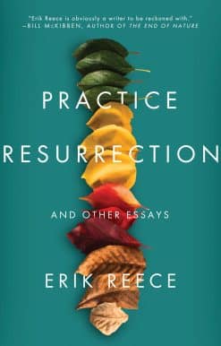 Practice Resurrection: And Other Essays