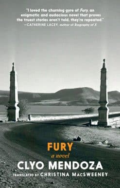 Fury: A Novel