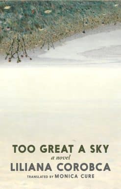 Too Great a Sky: A Novel