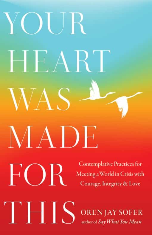 Contemplative Practices for Meeting a World in Crisis with Courage, Integrity, and Love: Your Heart Was Made for This