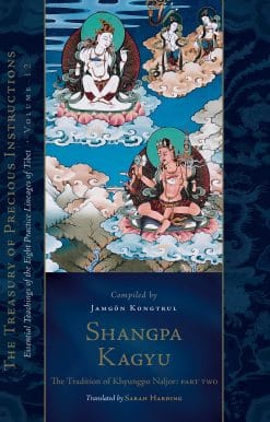 Shangpa Kagyu: The Tradition of Khyungpo Naljor, Part Two: Essential Teachings of the Eight Practice Lineages of Tibet, Volume 12 (The Treasury of Precious Instructions)