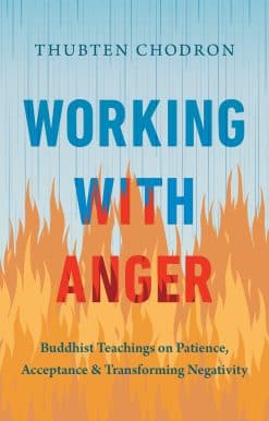 Working with Anger: Buddhist Teachings on Patience, Acceptance, and Transforming Negativity