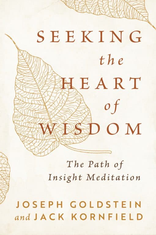 The Path of Insight Meditation: Seeking the Heart of Wisdom