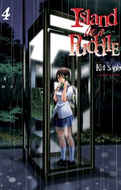 Island in a Puddle 4