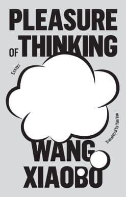 Pleasure of Thinking: Essays