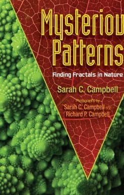 Mysterious Patterns: Finding Fractals in Nature
