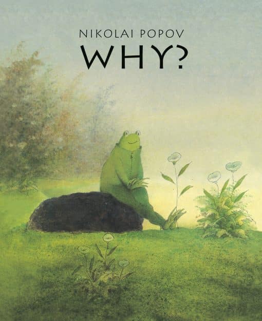 WHY?: A Timeless Story Told Without Words