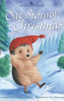One Stormy Christmas: Little Hedgehog & Friends
