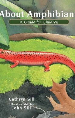 About Amphibians: A Guide for Children
