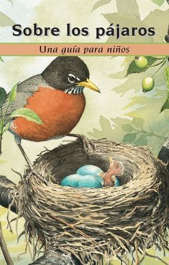 Una guía para niños: Sobre los pájaros