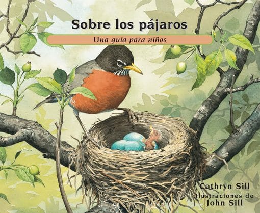 Una guía para niños: Sobre los pájaros