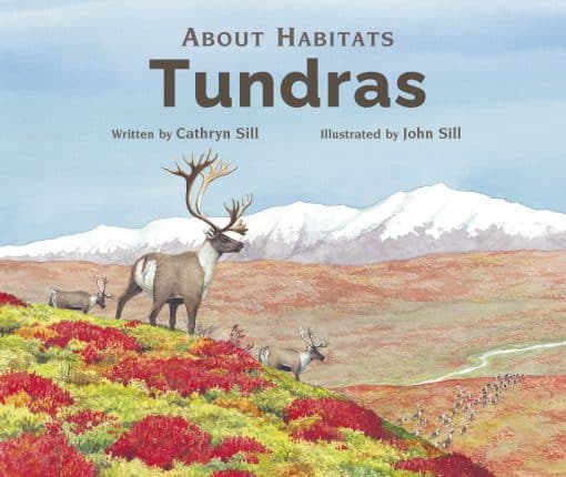 About Habitats: Tundras: