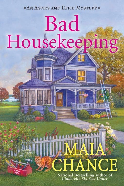 An Agnes and Effie Mystery: Bad Housekeeping