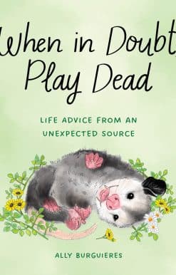 Life Advice from an Unexpected Source: When in Doubt, Play Dead