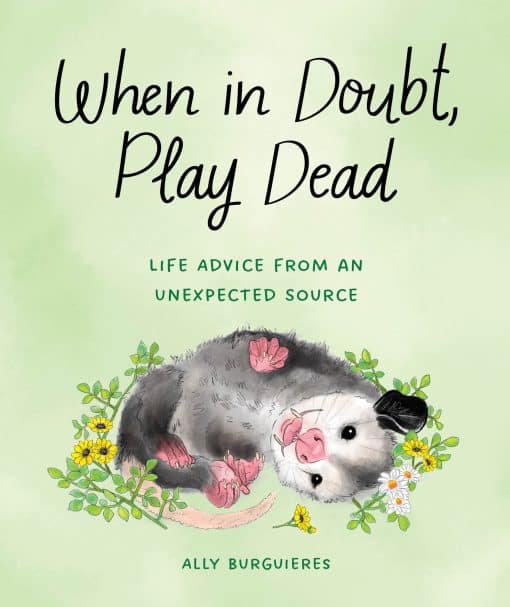 Life Advice from an Unexpected Source: When in Doubt, Play Dead