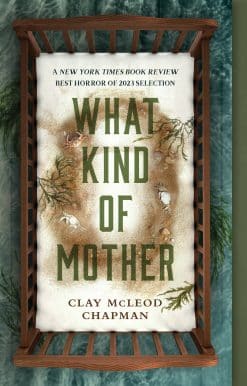 What Kind of Mother: A Novel