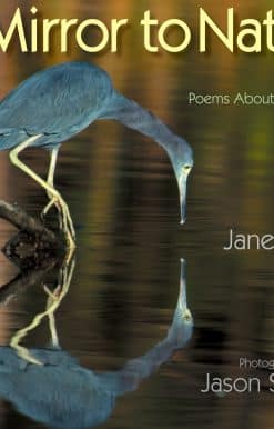 Poems about Reflection: A Mirror to Nature