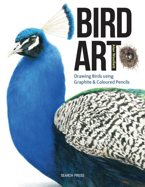 Bird Art: Drawing Birds using Graphite & Coloured Pencils