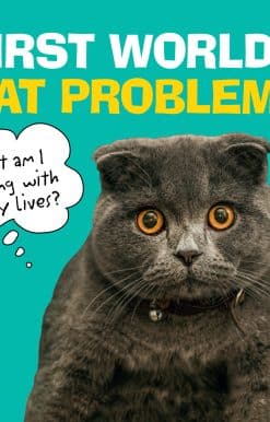 First World Cat Problems: What am I doing with my lives?