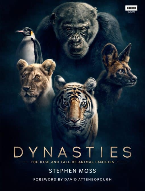 Dynasties: The Rise and Fall of Animal Families