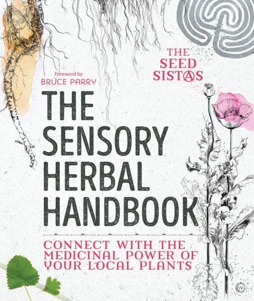 Connect with the Medicinal Power of Your Local Plants: The Sensory Herbal Handbook 