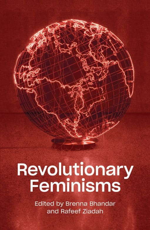 Revolutionary Feminisms: Conversations on Collective Action and Radical Thought